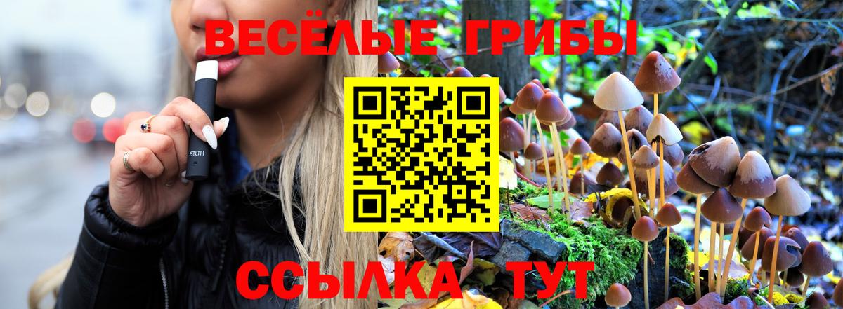 Псилоцибиновые грибы MAGIC MUSHROOMS Чита