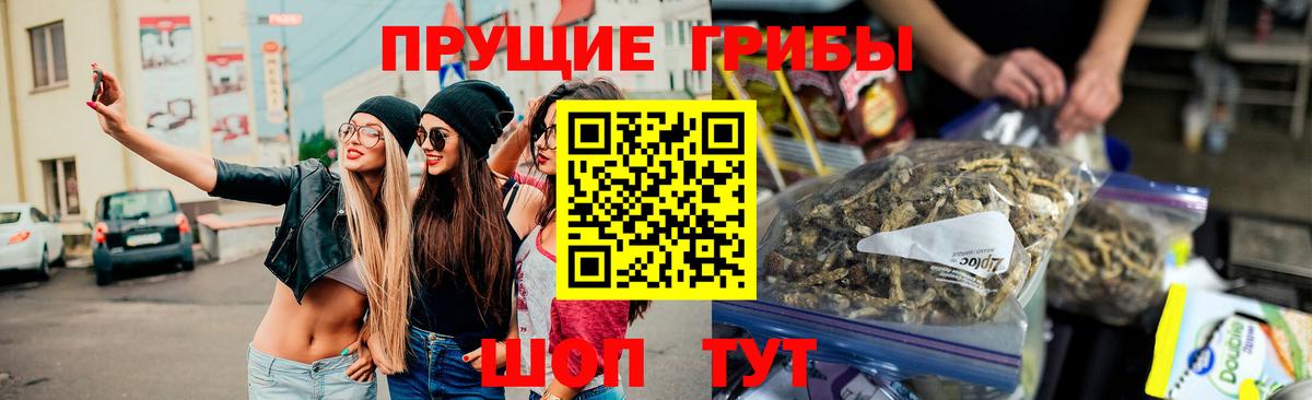 где продают наркотики  Псилоцибиновые грибы MAGIC MUSHROOMS  Вход с VPN  Чита 